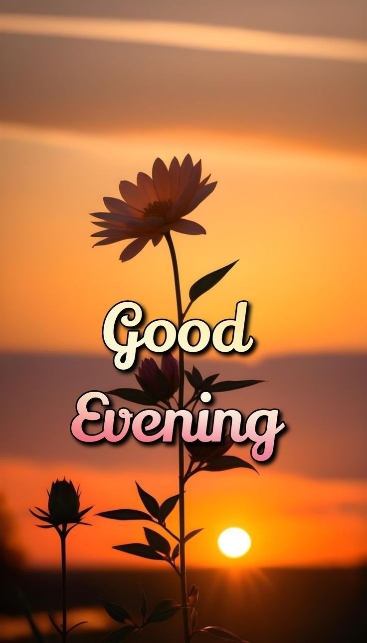 good evening images good evening images