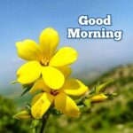 good morning images